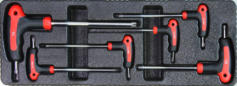 Module 6 Tournevis Torx En T