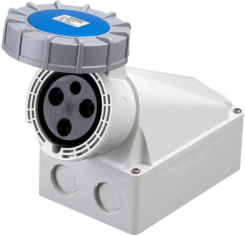 Socle Prise Murale 2P+T femelle 63A Étanche IP67