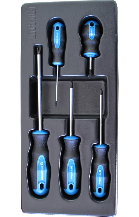 Module 5 Tournevis Phillips