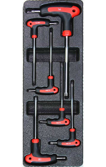 Module 6 Tournevis Torx En T